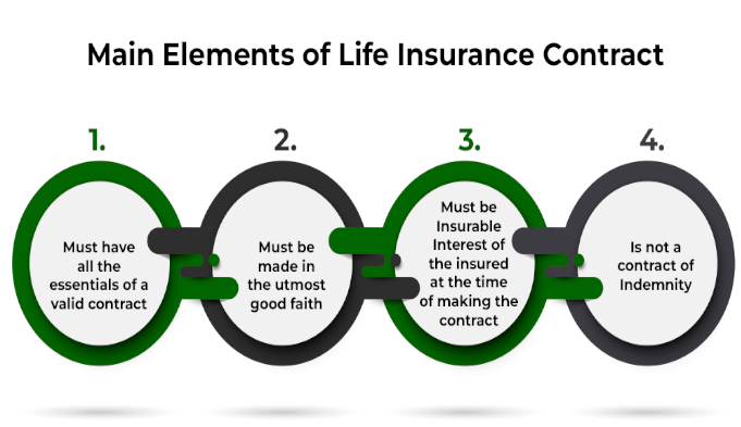 Key Terms and Conditions of an Insurance Policy: What You Need to Know